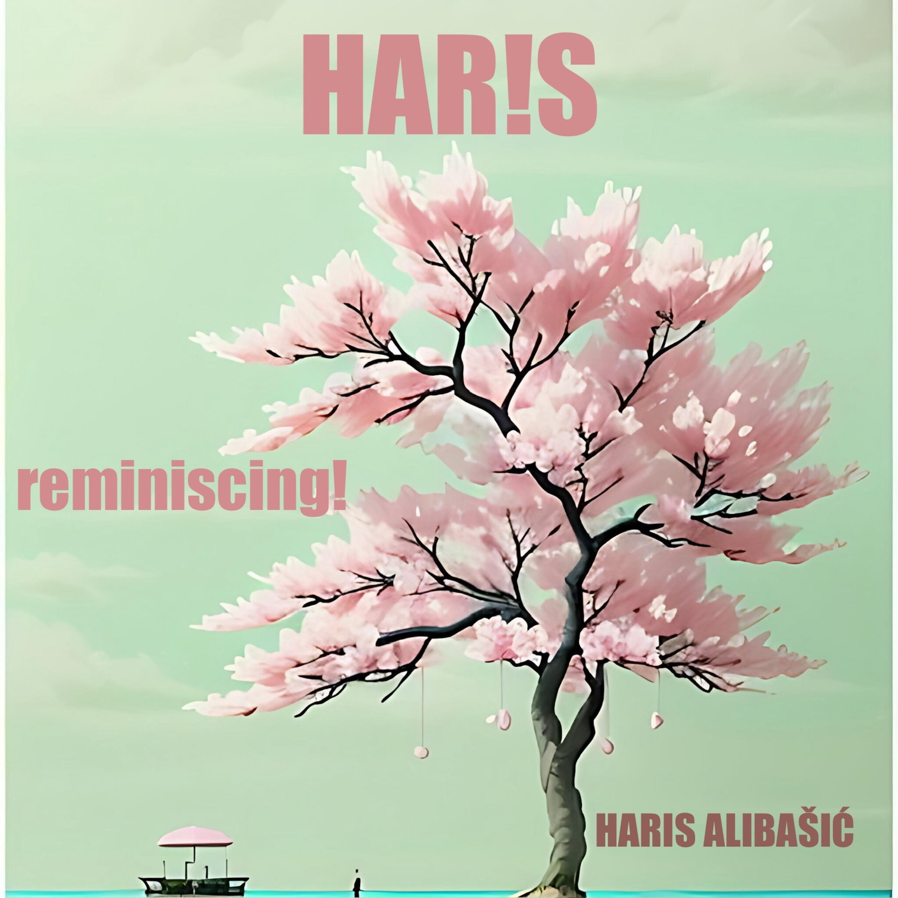 Haris Alibašić