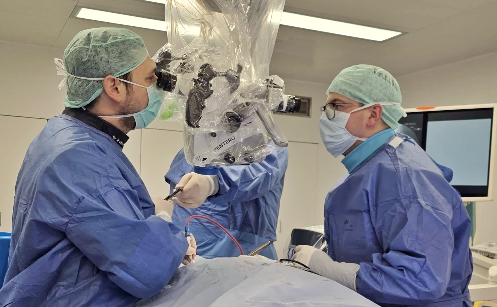 From Bosnia and Herzegovina to Germany: The BHAAAS Student Program Opens New Opportunities